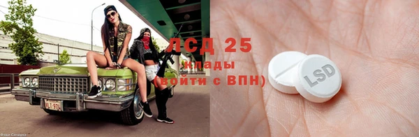 ГАЛЛЮЦИНОГЕННЫЕ ГРИБЫ Новозыбков