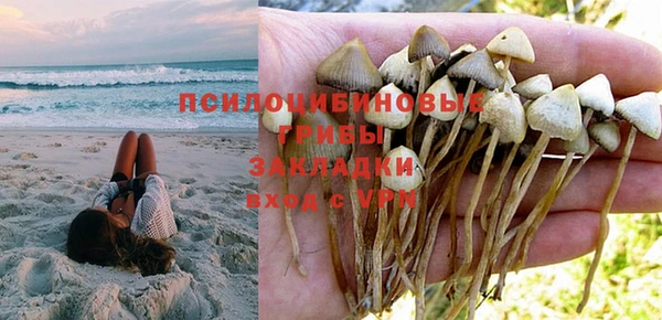jwh Осинники