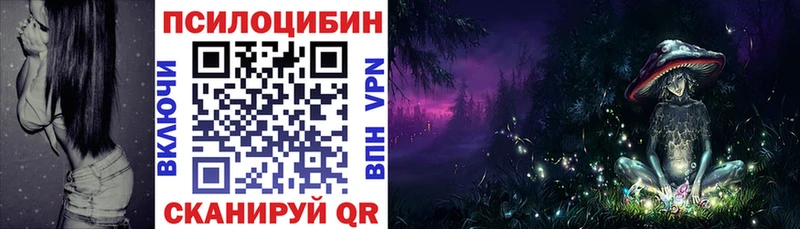 ОМГ ОМГ как зайти  Касли  Галлюциногенные грибы Psilocybe 